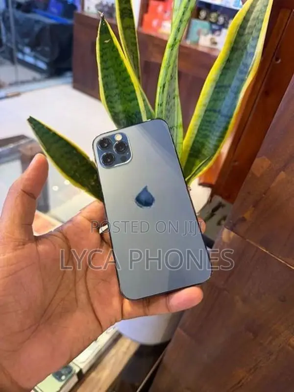Apple iPhone 12 Pro 256GB (Used)