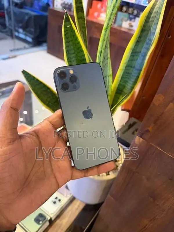 Apple iPhone 12 Pro 256GB (Used)