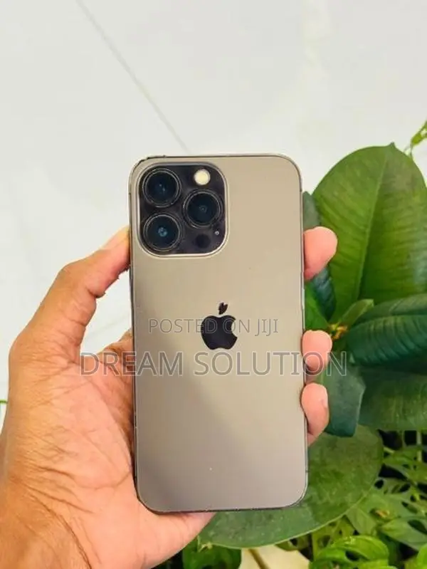Apple iPhone 13 Pro 128GB (Used)