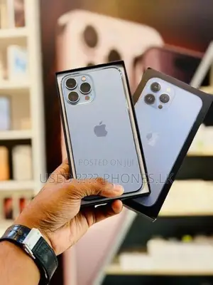 Apple iPhone 13 Pro 256GB (Used)