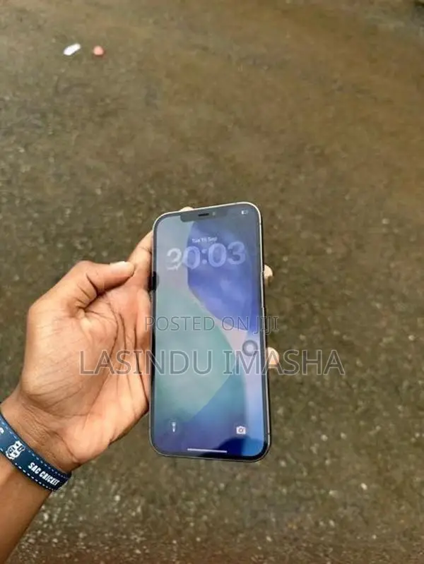 Apple iPhone 12 Pro Max (Used)