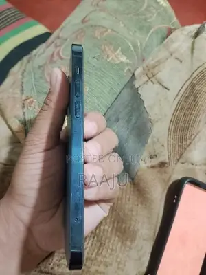 Apple iPhone 12 (Used)
