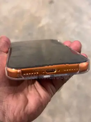 Apple iPhone 17 Pro Max (Used)