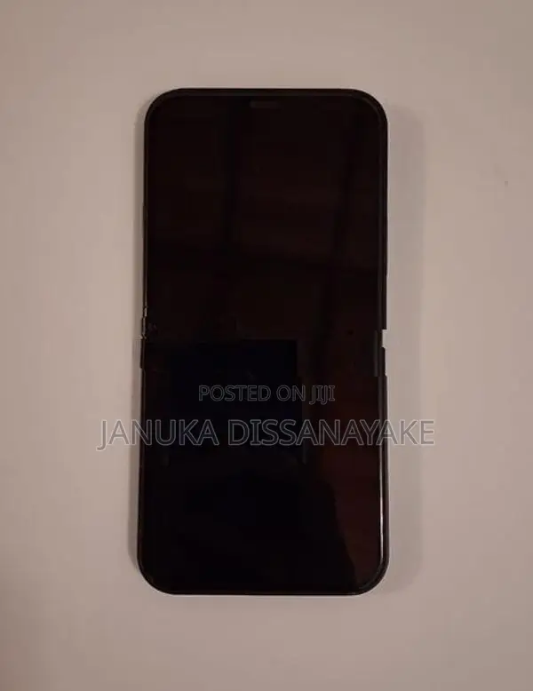 Apple iPhone 12 (Used)