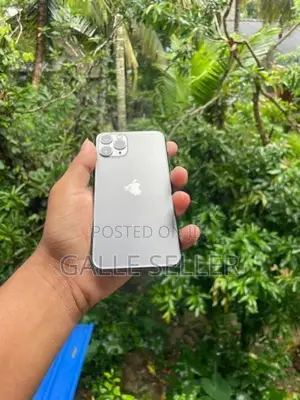Apple iPhone 11 Pro 256GB (Used)