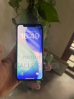 Apple iPhone 11 Pro 256GB (Used)