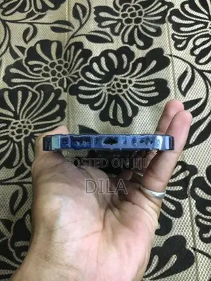 Apple iPhone 13 Pro (Used)