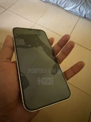 Apple iPhone 12 Pro Max 256GB USA (Used)