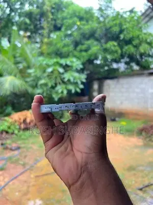 Apple iPhone 14 128GB (Used)