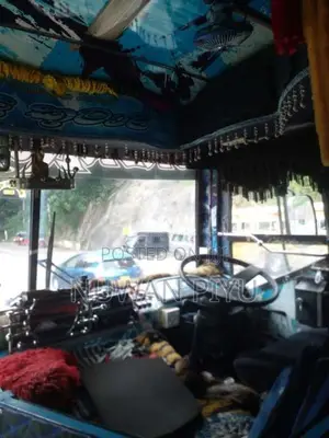 Ashok-Leyland Viking 2018 Bus (Used)