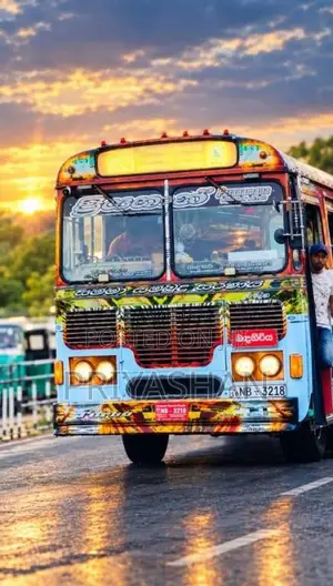 Ashok-Leyland Viking 2013 Bus (Used)
