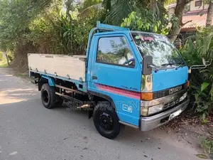 Isuzu ELF 250 1988 Lorry (Used)