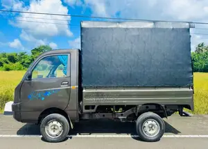 Mahindra Maxximo Plus VX 2015 Lorry (Used)
