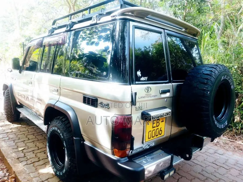 Toyota Land Cruiser 1991 SUV (Used)