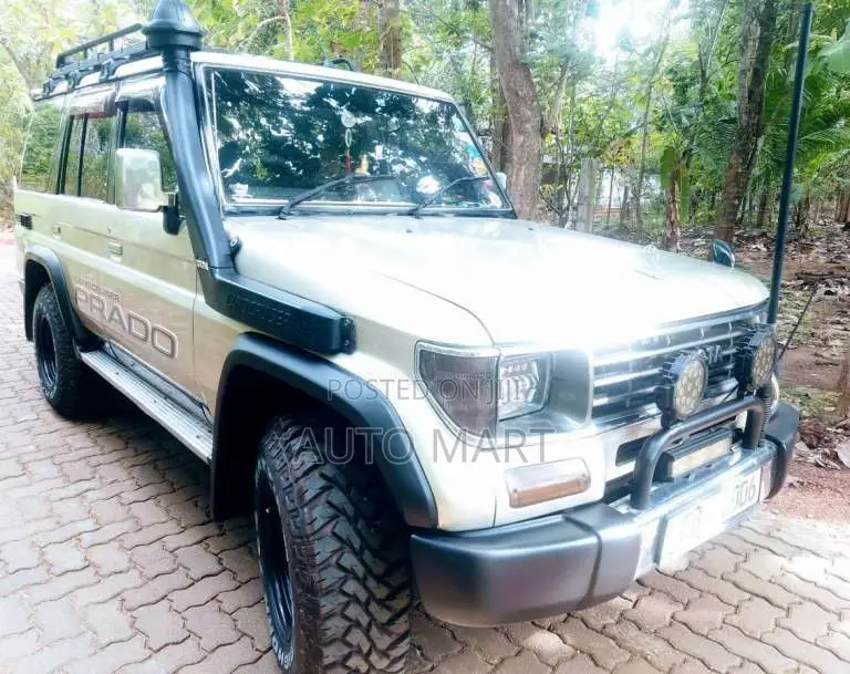 Toyota Land Cruiser 1991 SUV (Used)