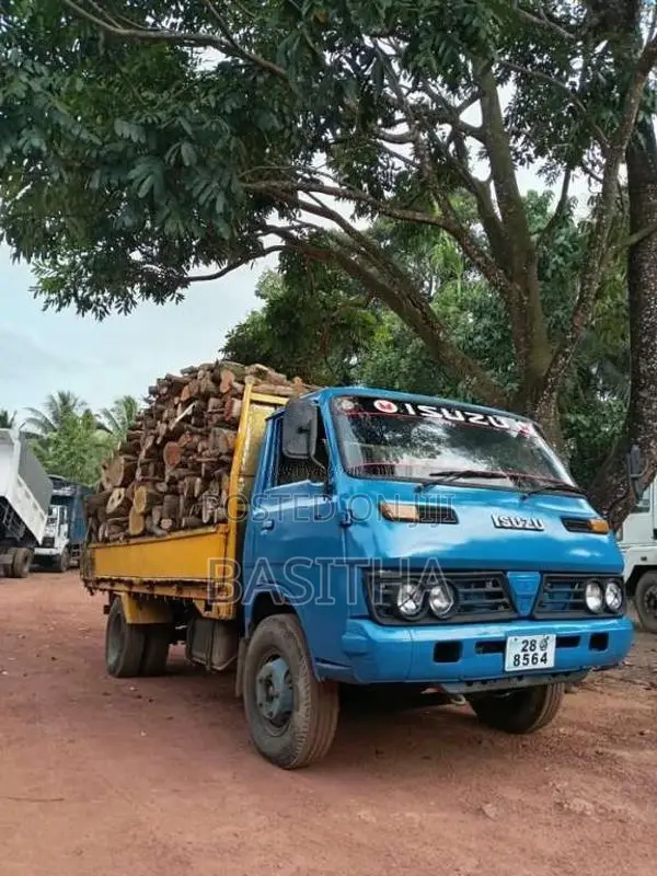 Isuzu ELF 1983 Lorry (Used)
