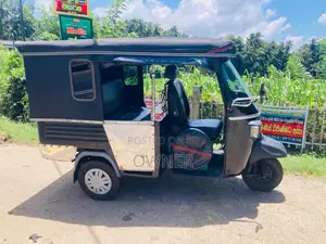 Piaggio Ape 2013 Three Wheel (Used)
