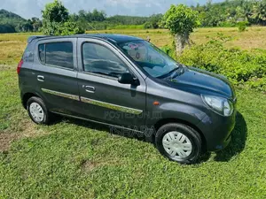 Suzuki Alto 2015 Car (Used)