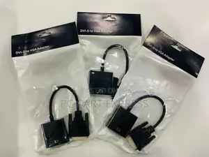 DVI to VGA Converter