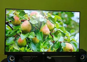 HP Frameless 24 Monitor