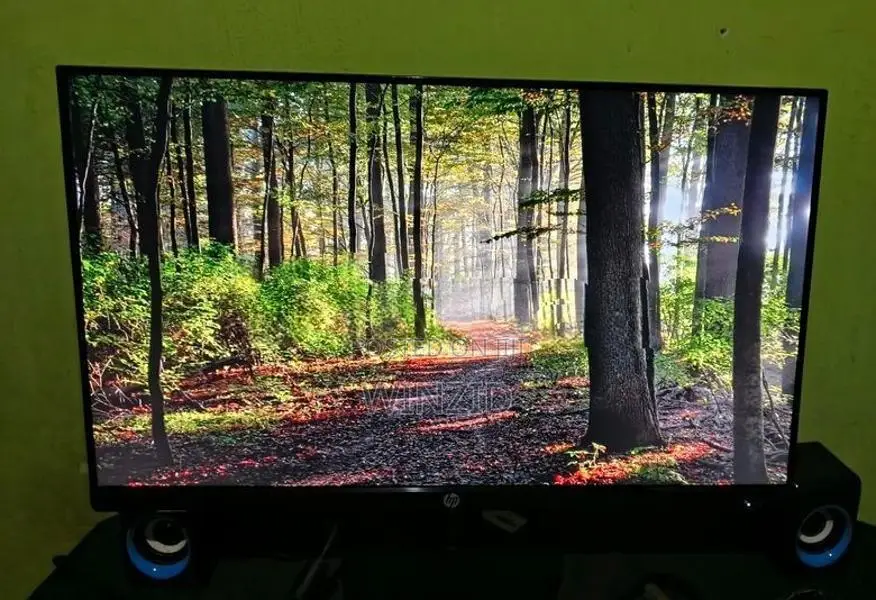 HP Frameless 24 Monitor