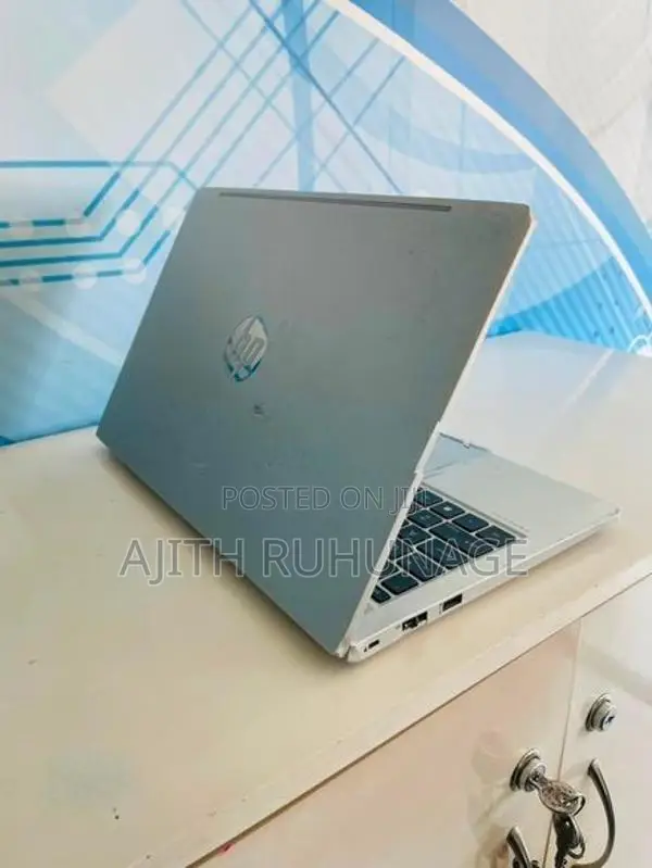 HP ProBook 440g8 Notebook No Erro
