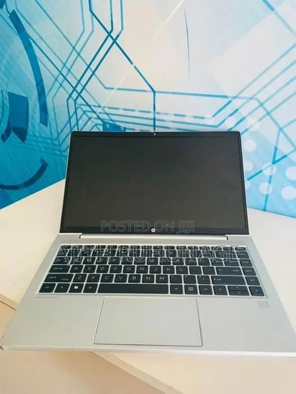 HP ProBook 440g8 Notebook No Erro