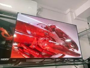 Singer 40 Led Tv