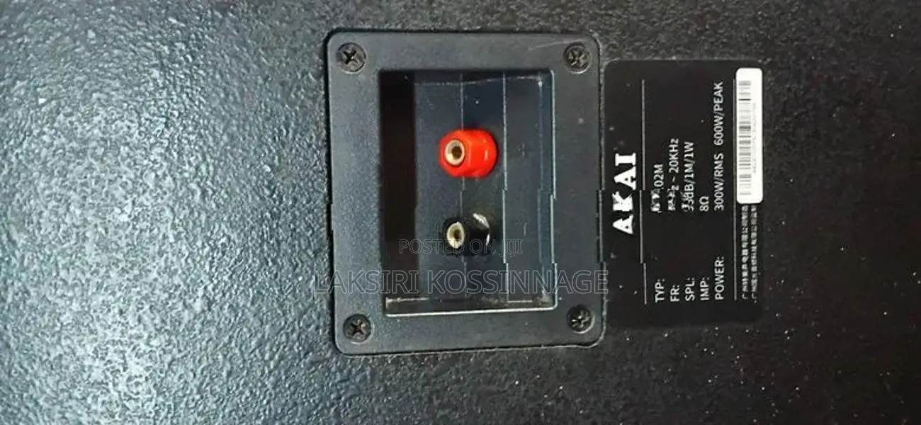 AKAI GX-102 300W RMS PA Speakers – Pair