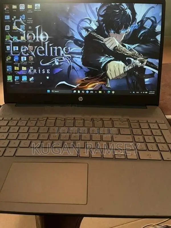 Ho HP Laptop