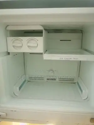 Singer Fridge