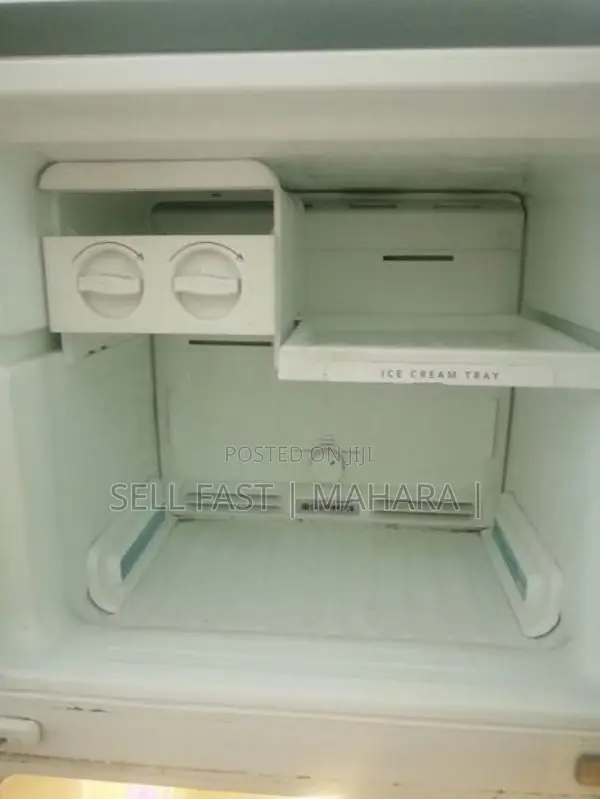 Singer Fridge