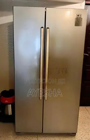 LG Double Door Fridge