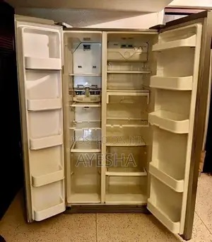 LG Double Door Fridge