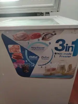 Freezer with Refrigerator