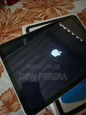 iPad 10th Gen Icloud Lock