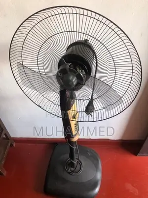 Stand Fan