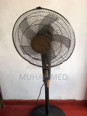 Stand Fan
