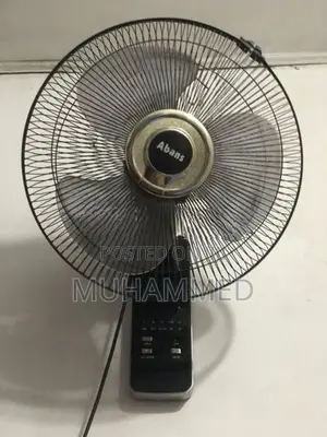 Wall Mount Fan
