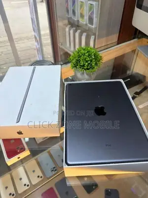 Apple iPad Series 9 256GB