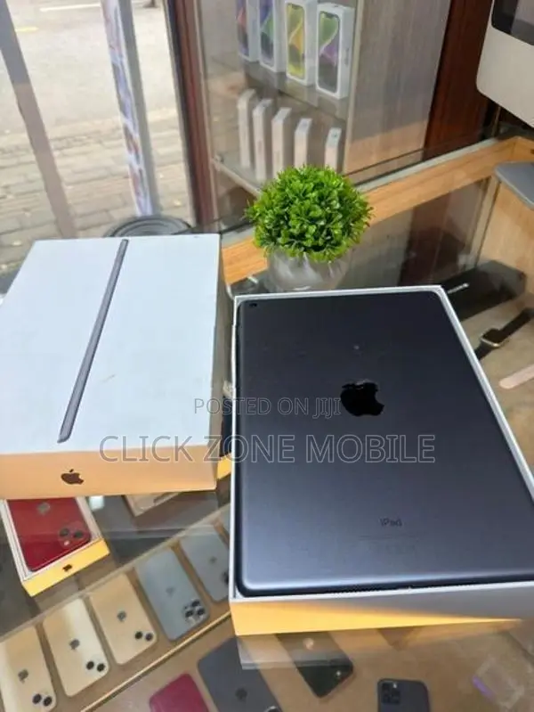 Apple iPad Series 9 256GB