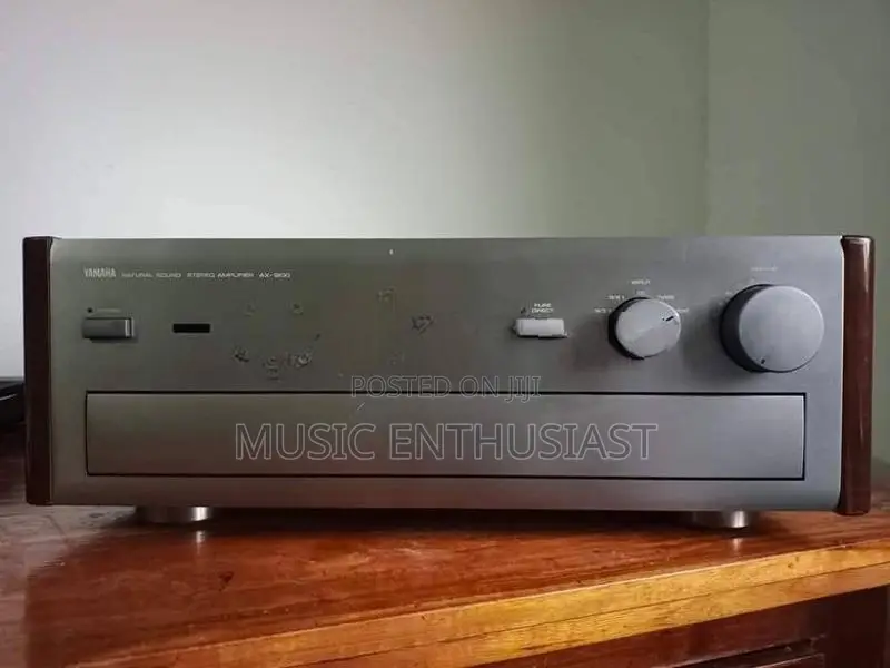 AX 1200 Natural Sound Amplifier