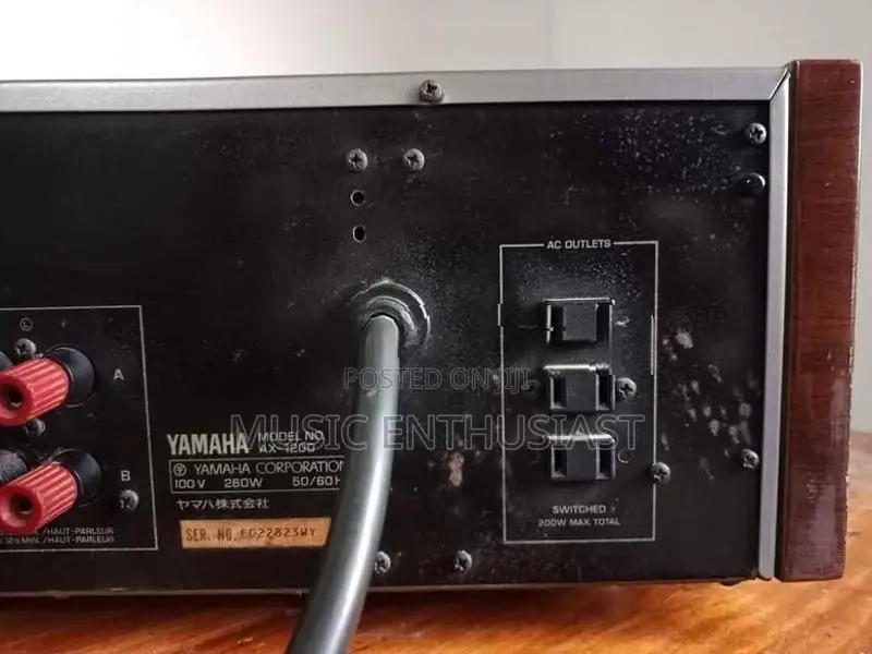 AX 1200 Natural Sound Amplifier