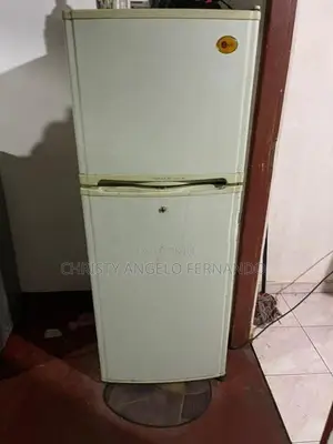 LG Fridge