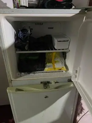 LG Fridge