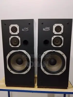 Pioneer Speaker