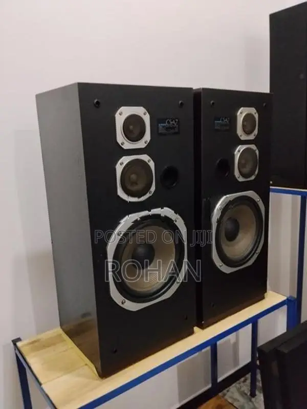 Pioneer Speaker