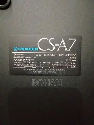 Pioneer Speaker