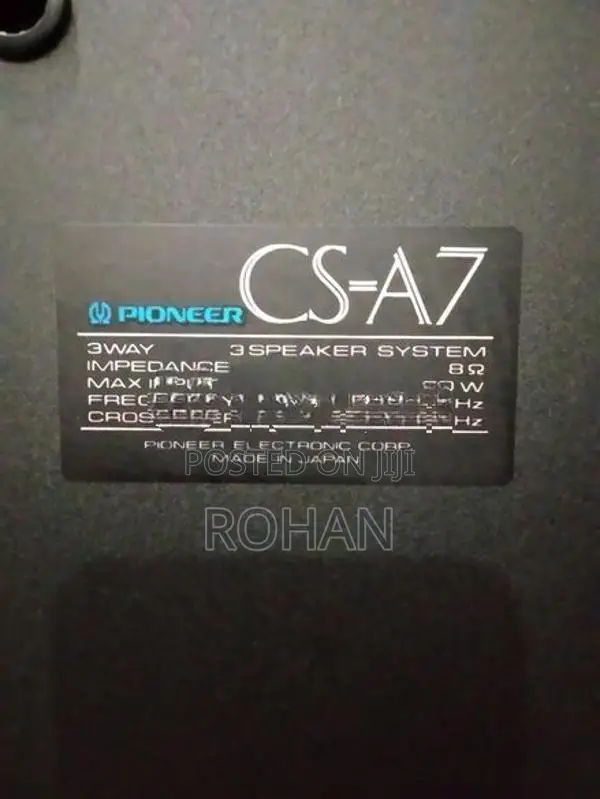 Pioneer Speaker