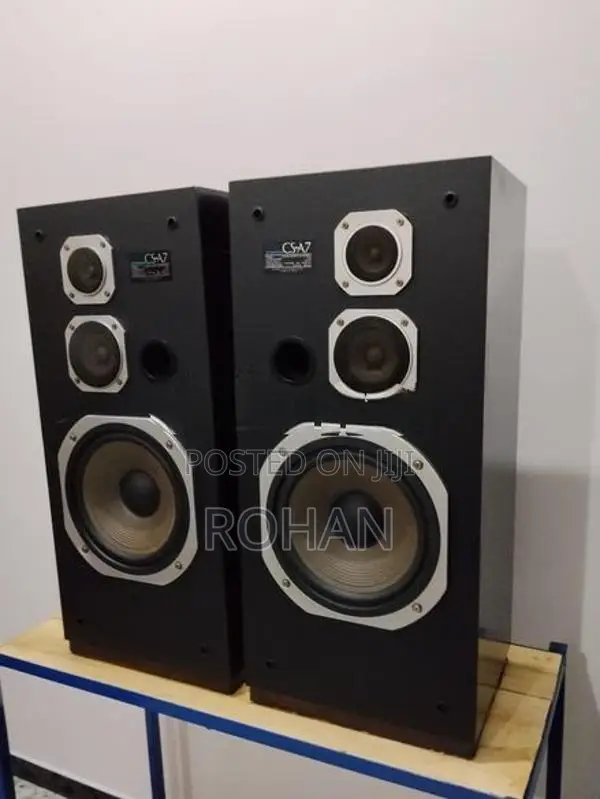 Pioneer Speaker